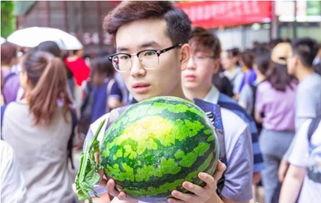 小学生免费吃瓜,小学生免费享瓜乐翻天