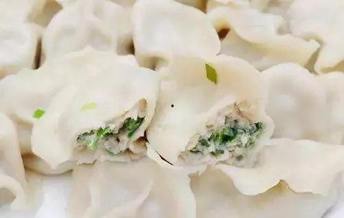 鲅鱼饺子爆料视频大全下载,美味佳肴瞬间呈现