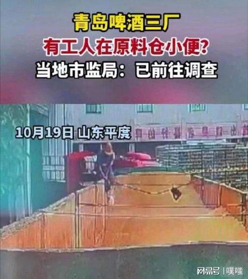 青岛啤酒厂爆料视频播放,独家爆料视频带你探秘啤酒生产全过程 第3张 青岛啤酒厂爆料视频播放,独家爆料视频带你探秘啤酒生产全过程 第3张
