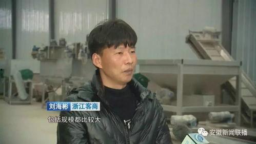 临泉县最近爆料新闻联播,新闻联播聚焦民生热点 第2张 临泉县最近爆料新闻联播,新闻联播聚焦民生热点 第2张