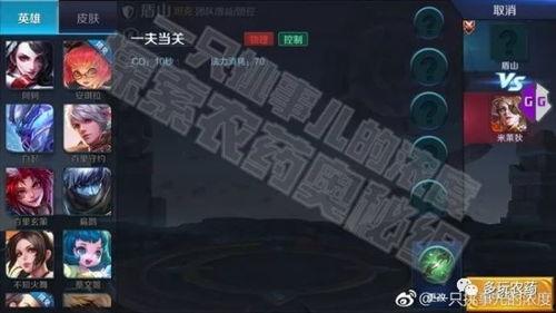 盾山英雄爆料视频大全集,揭秘英雄技能与背景故事