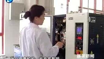 蓬莱新闻爆料,揭秘蓬莱神秘事件背后的真相
