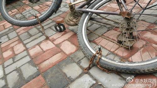 小区自行车爆料视频播放,揭秘日常生活中的温馨瞬间