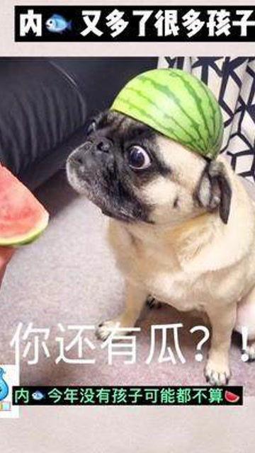 娱乐圈子吃瓜群众是谁啊,娱乐圈子里的神秘“吃瓜群众”揭秘 第2张 娱乐圈子吃瓜群众是谁啊,娱乐圈子里的神秘“吃瓜群众”揭秘 第2张