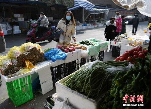 河南菜市场爆料新闻,揭秘市场里的新鲜事