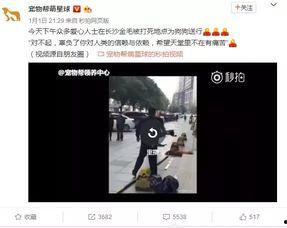 长沙事件爆料视频播放下载,揭秘真相瞬间 第3张 长沙事件爆料视频播放下载,揭秘真相瞬间 第3张