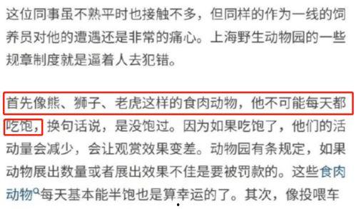 广东工人爆料事件视频,揭露背后真相与争议