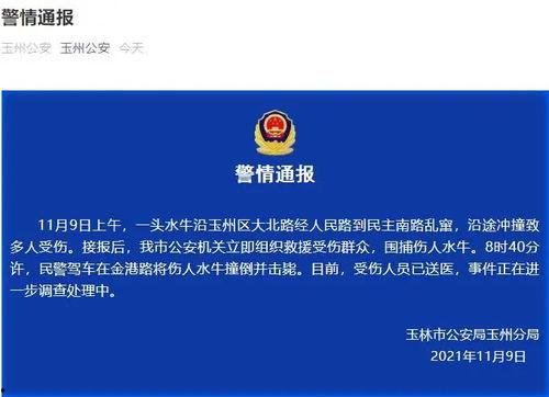广西最新爆料新闻视频,神秘事件视频引发热议，真相即将揭晓