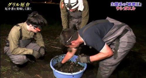 牛哥最新爆料,揭秘娱乐圈最新动态,带你走进幕后真相! 第2张 牛哥最新爆料,揭秘娱乐圈最新动态,带你走进幕后真相! 第2张