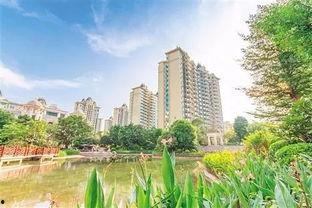 恒大绿洲新冠最新爆料,揭秘疫情下的社区防控挑战与应对措施 第3张 恒大绿洲新冠最新爆料,揭秘疫情下的社区防控挑战与应对措施 第3张