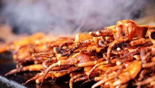 鱿鱼小吃摊爆料怎么做视频,视频教你轻松制作美味鱿鱼小吃