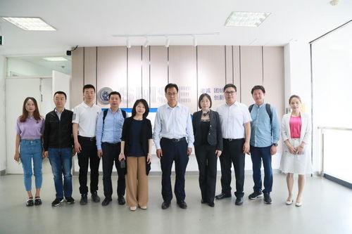 重庆新学校爆料事件视频,揭秘校园疑云