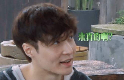 圈内人爆料杨紫张艺兴,幕后故事曝光引热议 第2张 圈内人爆料杨紫张艺兴,幕后故事曝光引热议 第2张