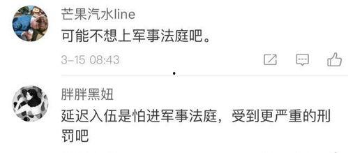 免费吃瓜犯法吗判几年,判罚年限揭秘 第3张 免费吃瓜犯法吗判几年,判罚年限揭秘 第3张