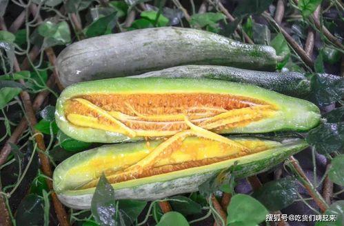 网红吃的软软的长长的绿色的瓜,软糯长绿瓜，夏日清新美味新宠  第2张