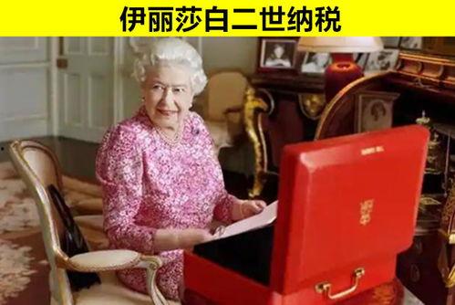 少雕庄园爆料事件视频,事件背后真相曝光 第2张 少雕庄园爆料事件视频,事件背后真相曝光 第2张