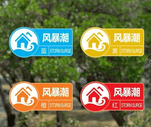 小灵夫妇爆料最新消息视频,揭秘幕后真相  第3张