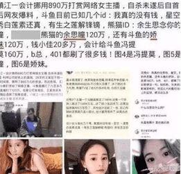 央视爆料记者被杀事件视频,真相调查与正义追寻