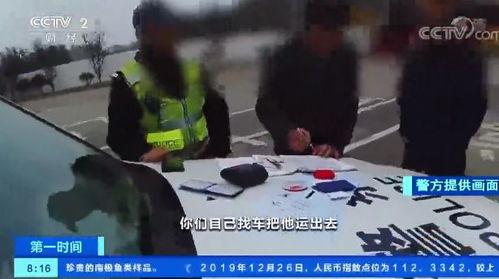 央视爆料记者被杀事件视频,真相调查与正义追寻 第3张 央视爆料记者被杀事件视频,真相调查与正义追寻 第3张