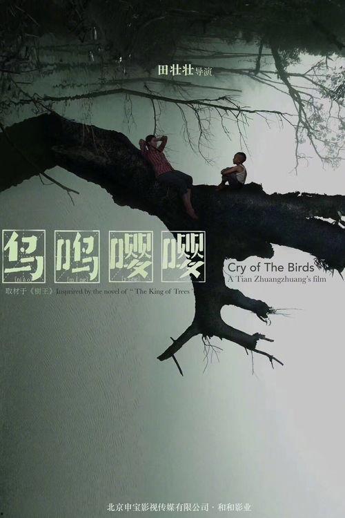 鸟鸣电影在线观看,自然之声中的心灵之旅 第2张 鸟鸣电影在线观看,自然之声中的心灵之旅 第2张