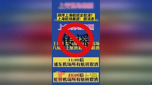 社会类新闻爆料有哪些,最新爆料事件深度解析  第3张