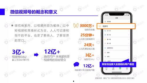 重返未来最新爆料视频下载,揭秘最新爆料视频中的未来科技与秘密  第2张