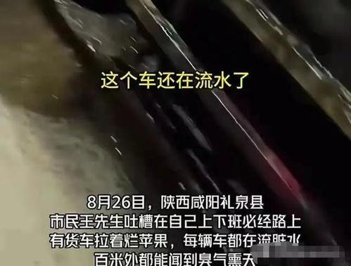 香港大瓜爆料视频在线播放,独家揭秘幕后真相