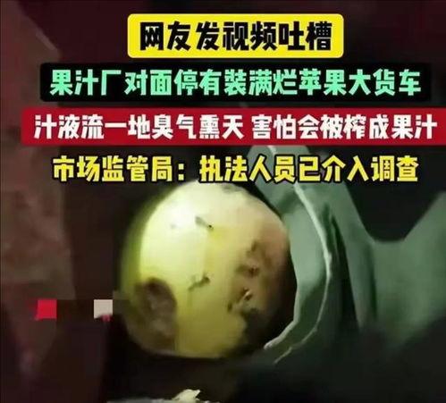 香港大瓜爆料视频在线播放,独家揭秘幕后真相  第2张