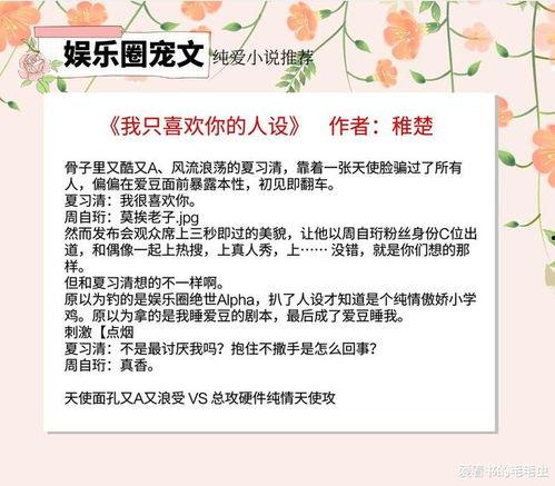 有什么娱乐圈的爆料小说,揭秘明星背后的秘密  第2张