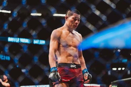 李景亮爆料武林风视频,一场震撼人心的武术盛宴