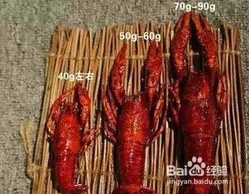 四川小龙虾爆料视频播放,视频播放量惊人,揭秘美食背后的故事 第3张 四川小龙虾爆料视频播放,视频播放量惊人,揭秘美食背后的故事 第3张