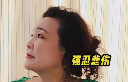 汪小菲爆料集合视频播放,揭秘豪门背后的真实故事  第3张