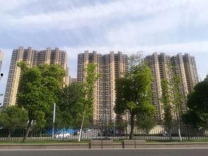 江宁东山房价最新爆料,涨跌动态一览无余 第3张 江宁东山房价最新爆料,涨跌动态一览无余 第3张