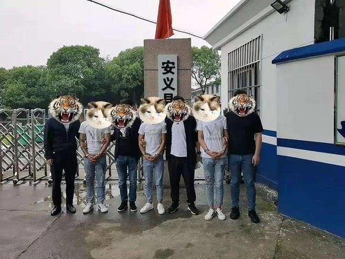 安义爆料盗窃最新消息