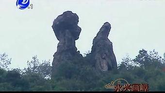 大奥十八景 在线观看,宫廷秘史，权谋与美色的交织  第3张