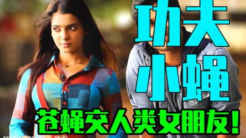 功夫小蝇2在线观看,逆袭风云再起在线观影指南