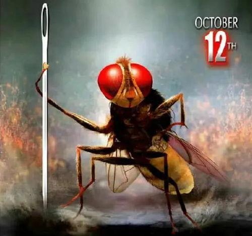 功夫小蝇2在线观看,逆袭风云再起在线观影指南  第2张