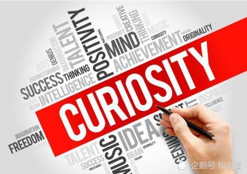 信任在线观看,揭秘网络世界的信任构建与维护之道  第3张