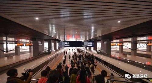 石家庄北站爆料案件最新,揭秘背后惊人真相