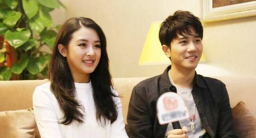 狗仔爆料彭冠英视频,真相背后引热议